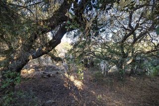 Cortijo en venta en Montefrío