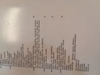 Bruce Lee Artes Marciales Libro