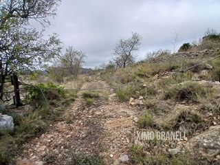 Terreno en venta en Vall d´Uixó (la)
