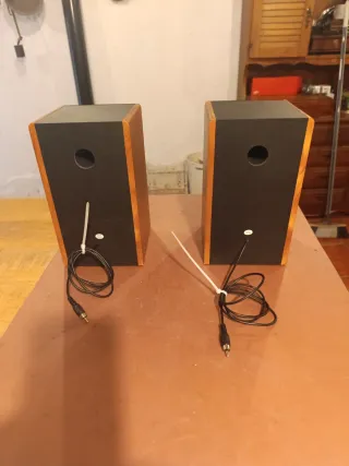 Altavoces de madera