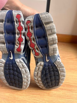 Nike Air Max niño azul/gris