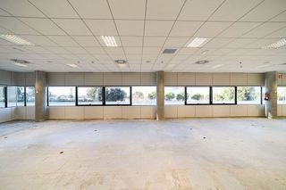 Oficina en alquiler en Parque Empresarial en Rozas de Madrid (Las)