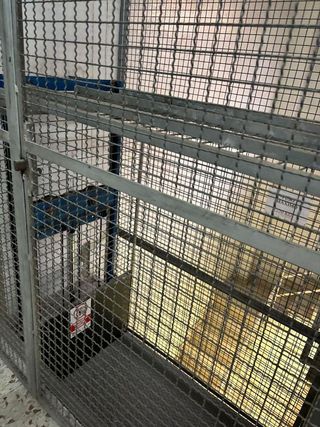 Nave industrial en alquiler en Carrús Est - Camí dels Magros en Elche