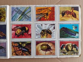 Cromos Vida y Color año 1971