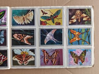 Cromos Vida y Color año 1971