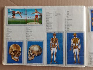 Cromos Vida y Color año 1971