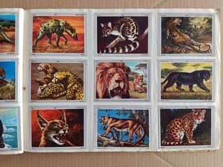 Cromos Vida y Color año 1971