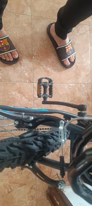 Bicicleta todo terreno