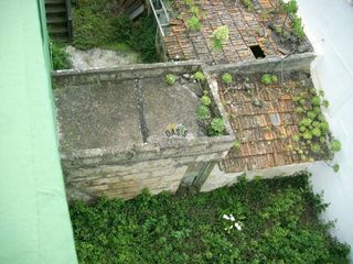 Terreno en venta en San Cristóbal de La Laguna - La Vega - San Lázaro en San Cristóbal de La Laguna