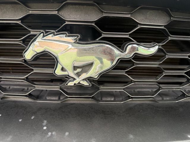 Mustang Cabrio 2018