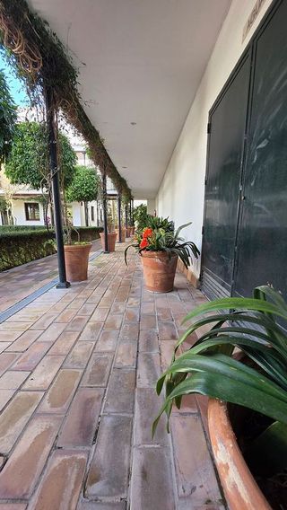 Dúplex en alquiler en San Vicente en Sevilla