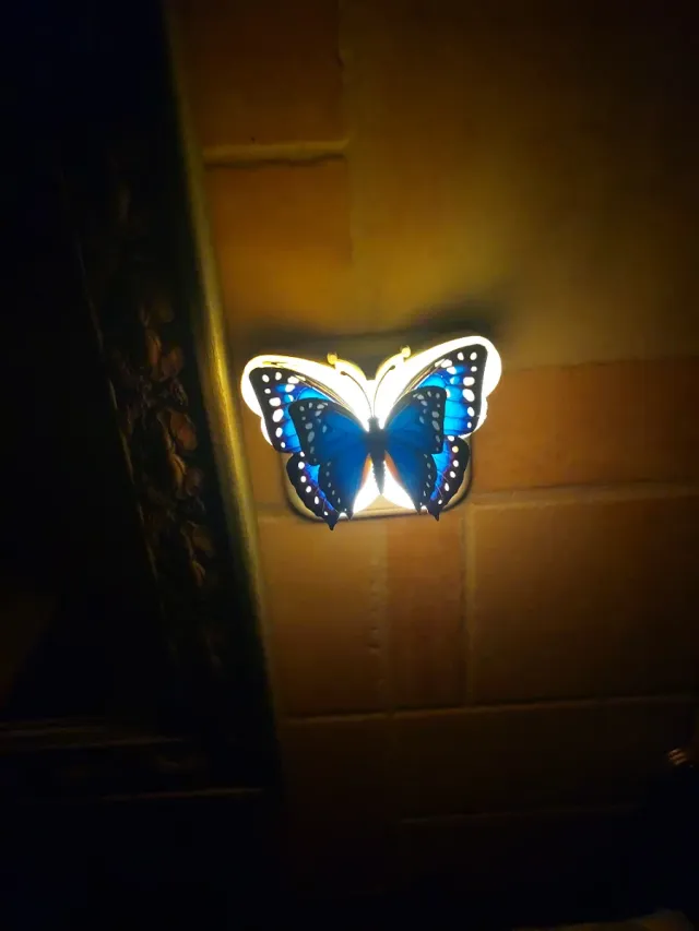 Luz Nocturna Mariposa