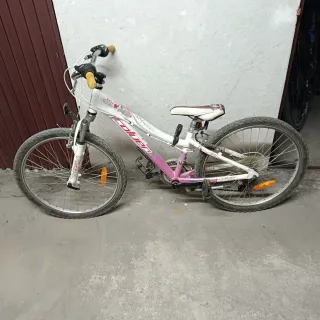 Bicicleta niña Coluer Lucy 20