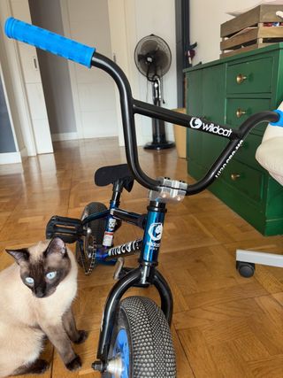 Mini BMX Wildcat casi nueva