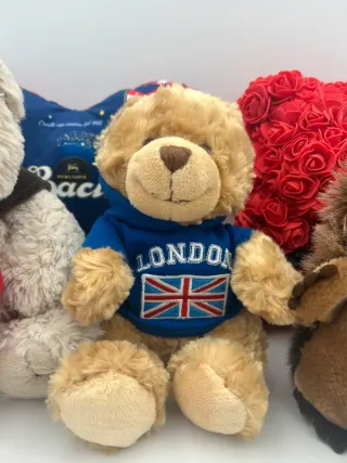 Peluche Orsetto e Riccio con Cuori