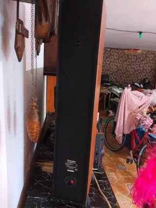 Altavoces Pioneer Madera