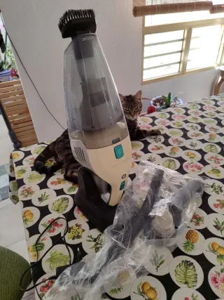 Aspirador de mano Cecotec XtremePower