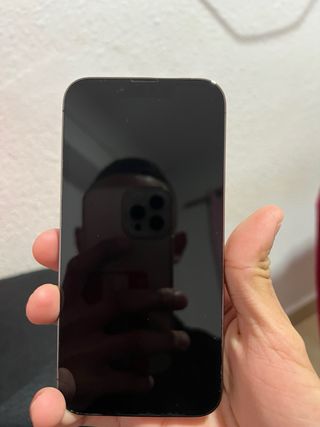 iPhone 13 Pro 256GB Gris Espacial