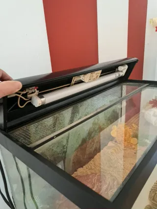 Terrario con luz UV y piedra calor