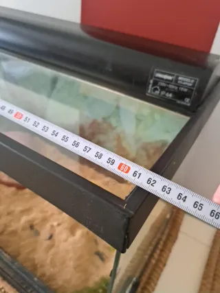 Terrario con luz UV y piedra calor