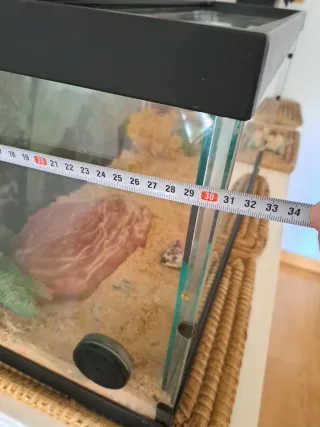 Terrario con luz UV y piedra calor