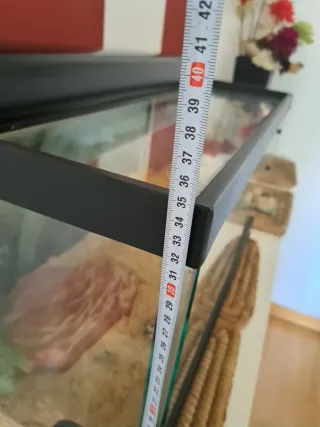 Terrario con luz UV y piedra calor