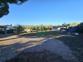 Chalet en venta en Molar (El)