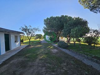 Chalet en venta en Molar (El)