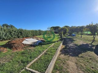 Chalet en venta en Molar (El)