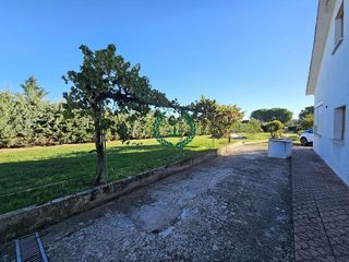 Chalet en venta en Molar (El)