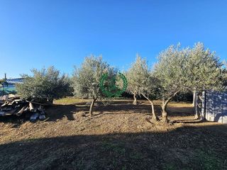 Chalet en venta en Molar (El)