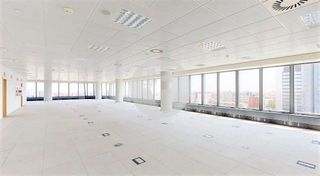 Oficina en alquiler en La Paz en Madrid