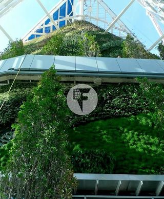 Oficina en alquiler en La Paz en Madrid