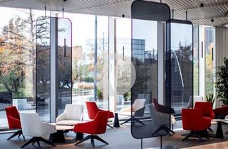 Oficina en alquiler en La Paz en Madrid