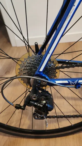 Rodillo Elite Drivo II + Bicicleta Felt 7005 L