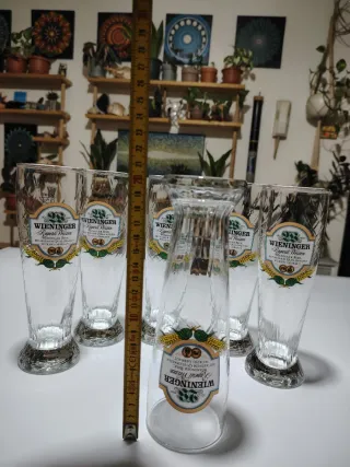6 Bicchieri Birra Wieninger Ruperti Weizen
