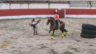 Bar en venta en Tordesillas
