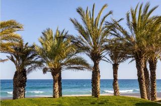 Chalet en alquiler en Torre Valentina-Mas Vilar de La Mutxada-Treumal en Calonge