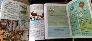 Lote 2 Libros Vintage: Los Porqués y Mega Junior