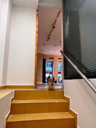 Local comercial en alquiler en Zona Teatro Campoamor en Oviedo