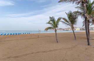 Estudio en alquiler en Santa Catalina - Canteras en Palmas de Gran Canaria(Las)