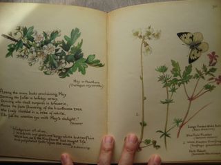 DIARIO DE EDITH HOLDEN (EN INGLÉS 1ª EDICIÓN 1977)