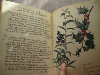 DIARIO DE EDITH HOLDEN (EN INGLÉS 1ª EDICIÓN 1977)