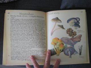 DIARIO DE EDITH HOLDEN (EN INGLÉS 1ª EDICIÓN 1977)