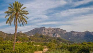 Local comercial en venta en Ayuntamiento - Centro en Alzira