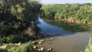 Local comercial en venta en Ayuntamiento - Centro en Alzira