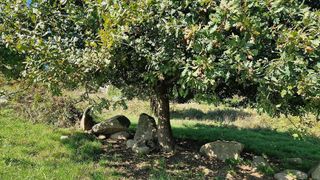 Solar en venta en Cabral - Candeán en Vigo