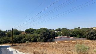 Terreno en venta en Los Molinos en Alcalá de Guadaira