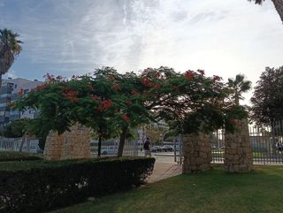 Piso en venta en Puerta Blanca en Málaga