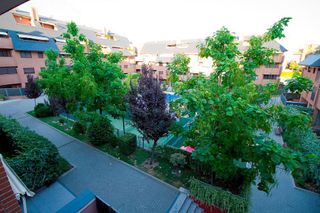 Piso en alquiler en Zona Norte en Pozuelo de Alarcón